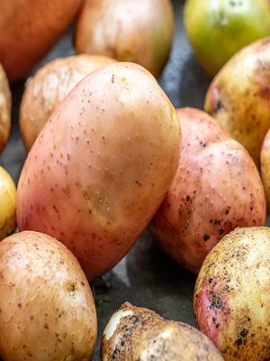 cover image of Requiem for Potatoes